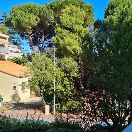 Appartement Belle Chambre Dans Appartement Vert A Deux Pas Du Centre-Ville De Montpellier Montpellier
