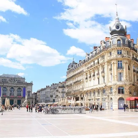 Appartement Belle Chambre Dans Appartement Vert A Deux Pas Du Centre-Ville De Montpellier *